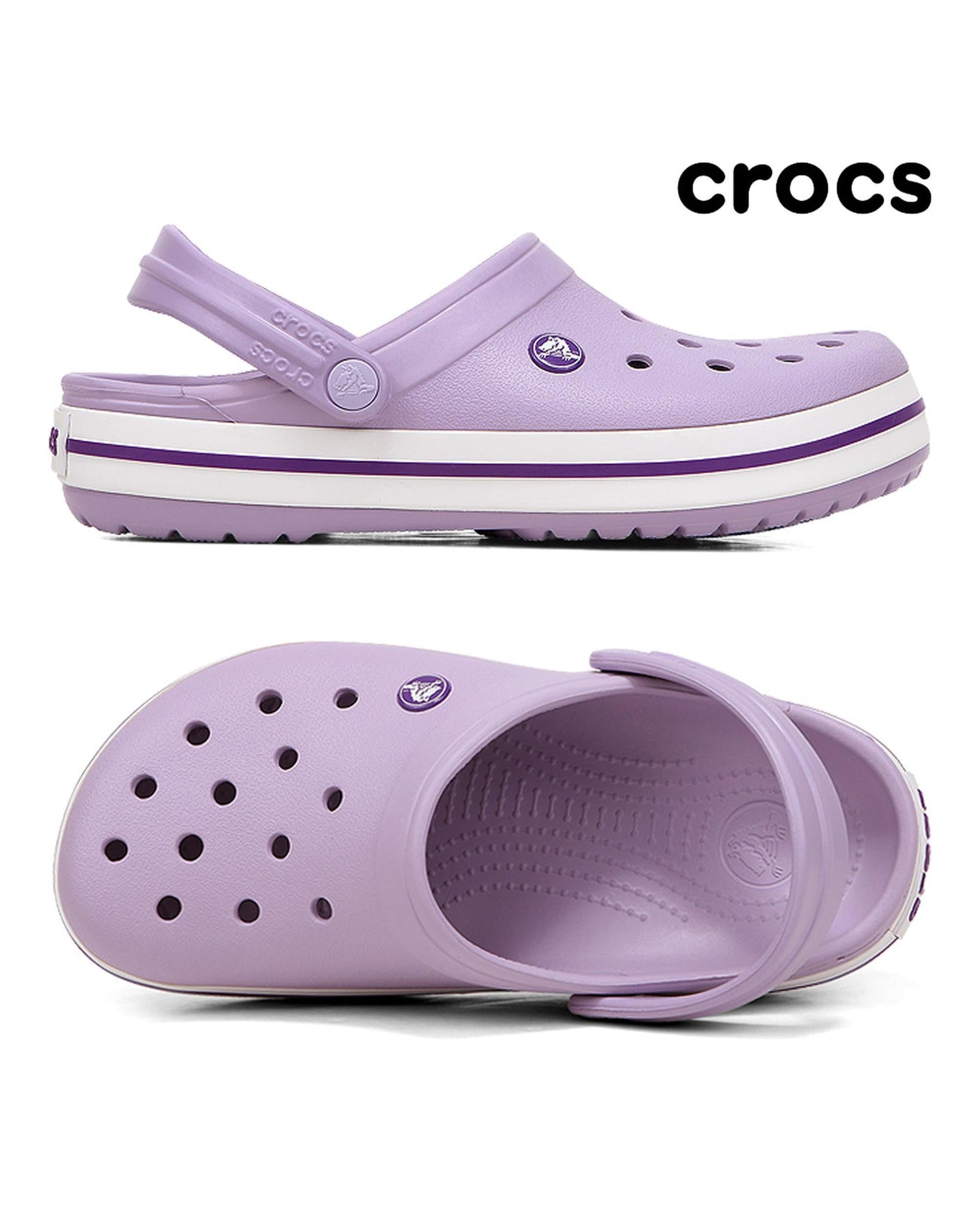 Crocband-Clog-Unisex Adult-Lavender/Purple-11016-50Q